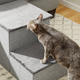 Illustration for article titled How I Solved My Home Storage Needs With Clever Pet Furniture